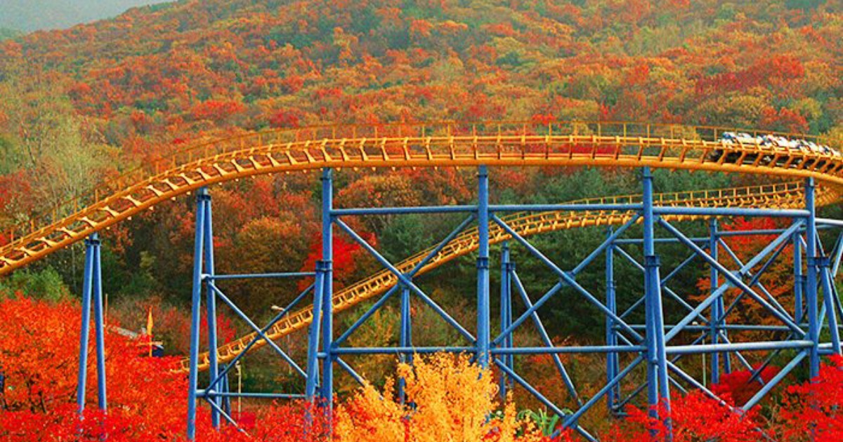 Seoul Land Amusement Park Discount Ticket - Trazy, Korea's #1 Travel Shop